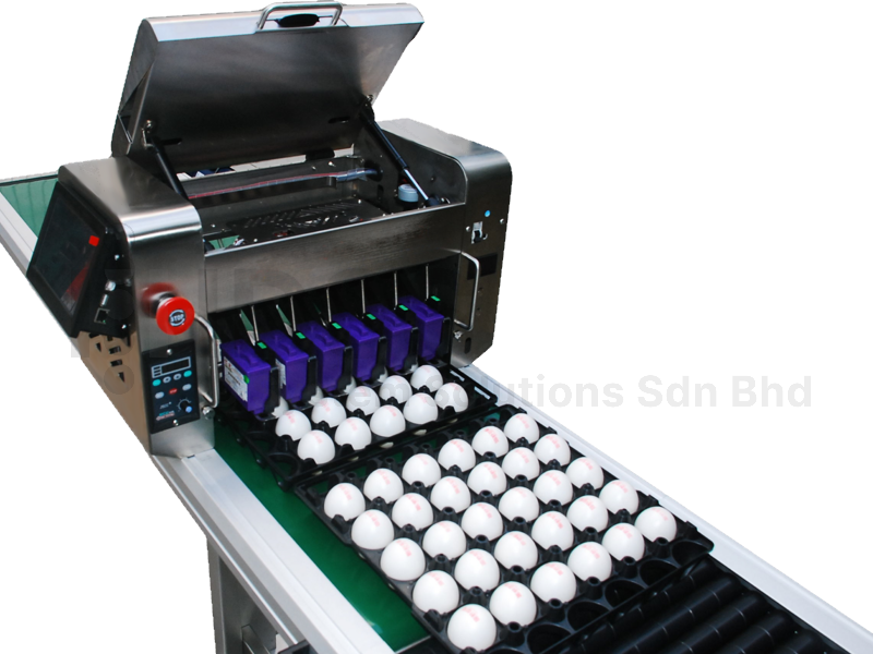Egg Printing System